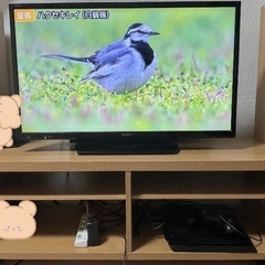 テレビ＋テレビ台　取りに来れる方