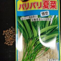 空芯菜の種　10粒10円