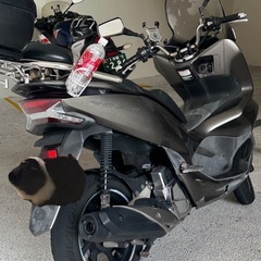 PCX150jf81
