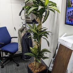 【横浜引取限定】大きな観葉植物の造花