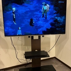 REGZA 4K 有機ELテレビ　55X8400