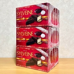 ブルボン シルベーヌ チョコレートケーキ 6個入り 5箱 3セット