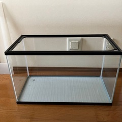 大きな水槽　プラスチック製