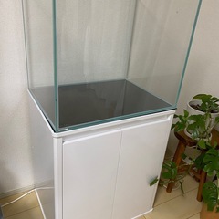 楽天市場】コトブキ工芸 水槽セット アクアリスト600S 観賞