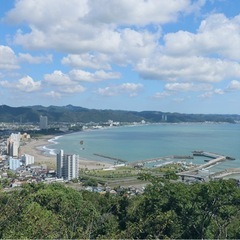 主に平日に一緒にカフェ巡り、散歩などをしてくれる方🙏
