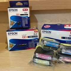 EPSON 純正インク カメの画像