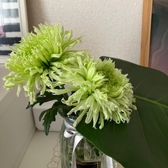 40代50代60代のお友達