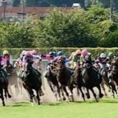 【競馬仲間募集中】 