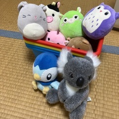 ぬいぐるみ