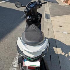 ヤマハ  シグナスX  ＳＥ44の画像