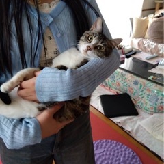 美男なキジしろくん　とってもデレデレします