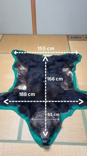 ヒグマ 敷物 毛皮 剥製 ラグ