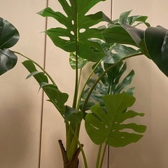 観葉植物　フェイク　ツリー