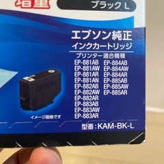 EPSON 純正インク カメの画像