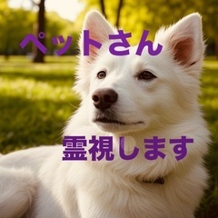 ペットさん霊視します