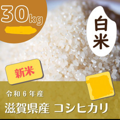 滋賀県産コシヒカリ　30kg　1袋のみ