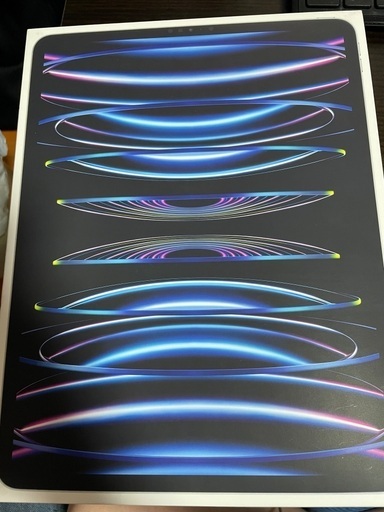 Apple iPad Pro 12.9インチ 256GB シルバー 第6世代