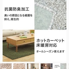 ニトリラグマットの画像