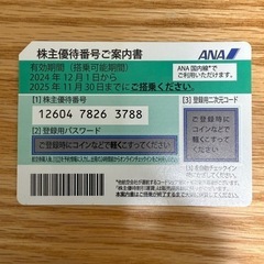 【即日対応】ANA 株主優待券　1枚