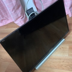 テレビ無料