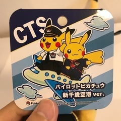 ピカチュウ新千歳空港限定ぬいぐるみペアセットの画像