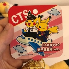 ピカチュウ新千歳空港限定ぬいぐるみペアセットの画像