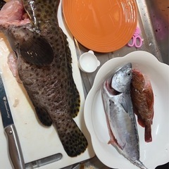 一緒に釣りしましょ！釣友募集