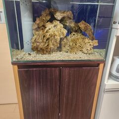 60×30×40　オーバーフロー水槽&水槽台&濾過槽&水中ポンプ