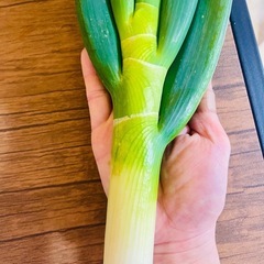 5月14日‼️ ご好評につき‼️ 50円若松旬野菜‼️朝採り長ネギ‼️ 1本50円‼️ 野菜の画像