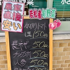 5月14日‼️ ご好評につき‼️ 50円若松旬野菜‼️朝採り長ネギ‼️ 1本50円‼️ 野菜の画像