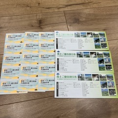 富士急行　株主優待　チケット　富士急ハイランド　フリーパス　3名...