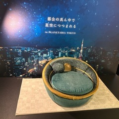 スノファン会