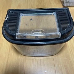 カブトムシ　虫かご　売れたら洗って渡します。