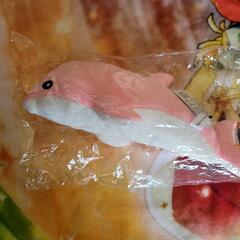 イルカ ピンク ぬいぐるみ 浅虫水族館