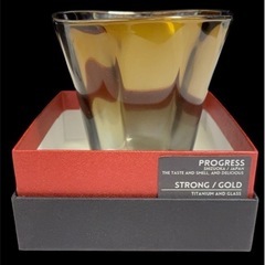 【定価¥8,800】高級チタングラス　PROGRESS STR...