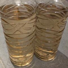 【ゾウリムシ種水】500ml1本　メダカ　針子の餌に