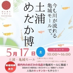 土浦メダカ博