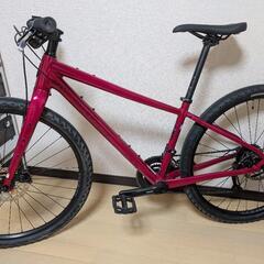 SALSA Journeyer Flat Bar 650b SMサイズ