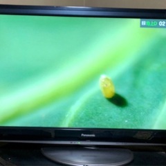 パナソニック42型テレビ
