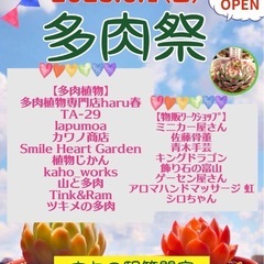 2025  6/1「多肉祭」と昔ながらの「青空市」フリーマーケット