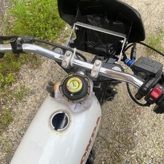 エイプ100レーサーの画像