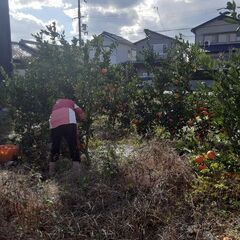 自給自足のコミュニティです - 海南市