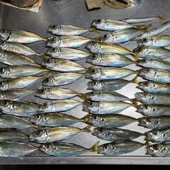 自給自足のコミュニティです - その他