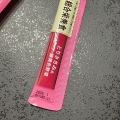 お値下げしました！わんちゃん用ちゅーるごはんの画像