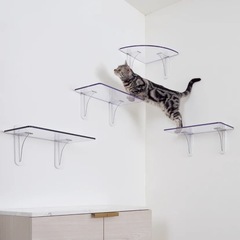 キャットステップ🐈アクリルの画像