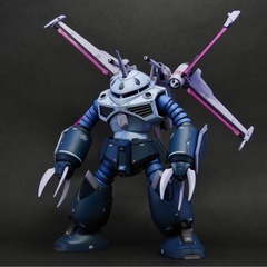 HG ズゴック SEED FREEDOM ver / ガンプラ 完成品