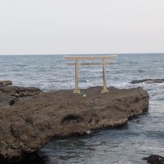 2025年！グルチャ歴6年目！🌺お友達作りしませんか！？長続きする人のみ募集🌺 - 高崎市