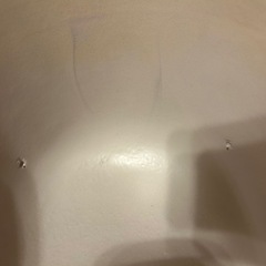 バンボの画像