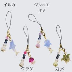 海のいきもの