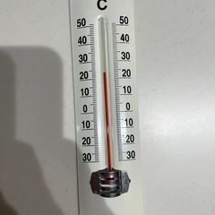 レトロなアンティーク温度計 室内温度計の画像